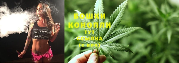 стафф Пересвет