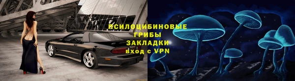стафф Пересвет