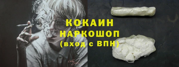 сатива Пестово