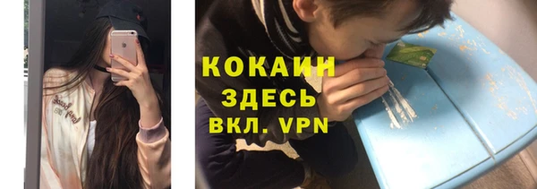 твердый Краснослободск