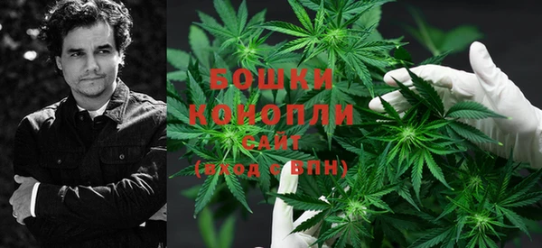 стафф Пересвет