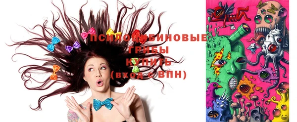 сатива Пестово