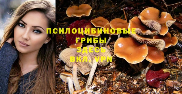 ALPHA PVP Переславль-Залесский