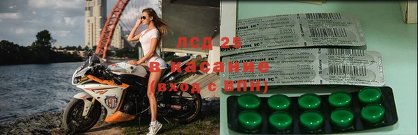 стафф Пересвет