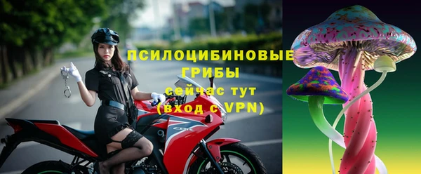 ALPHA PVP Переславль-Залесский