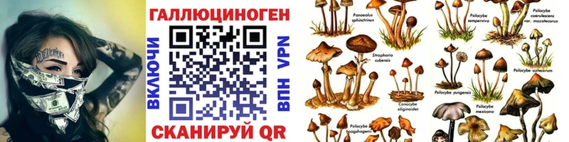shop телеграм  Семикаракорск  Галлюциногенные грибы Psilocybine cubensis  mega зеркало 